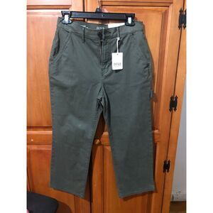 Ana Petite Cargo Pants Color Oregano Size 4P Woman Highest Rise Vintage Straight